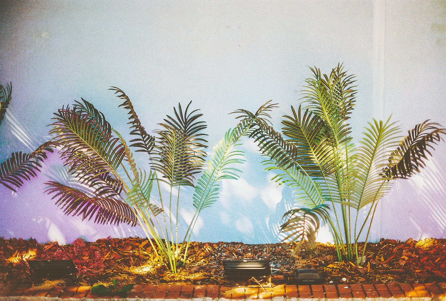 Rediscovering Film Photography: Shooting Kodacolor 200 With My Dad’s Canon A-1