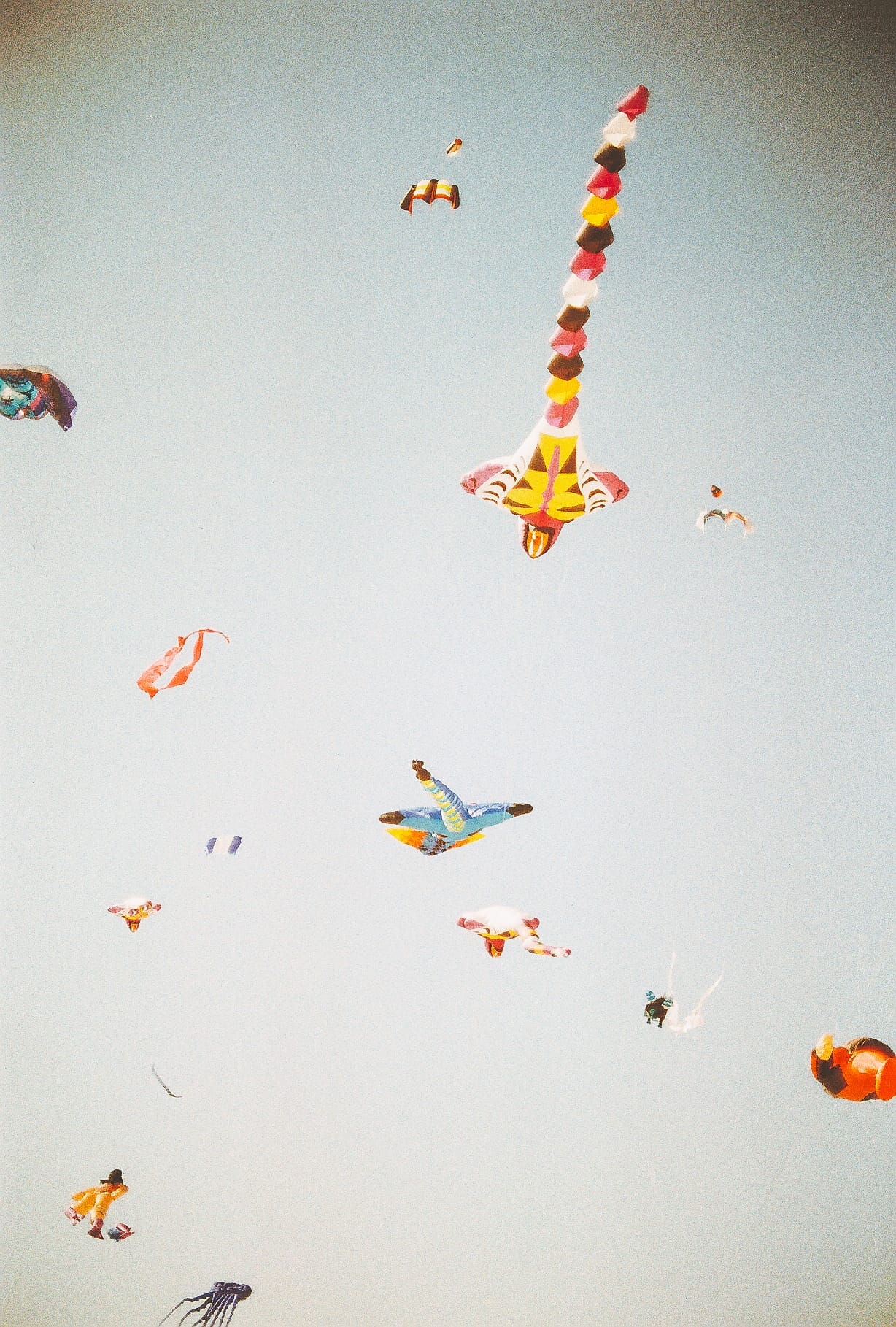 Rediscovering Film Photography: Shooting Kodacolor 200 With My Dad’s Canon A-1