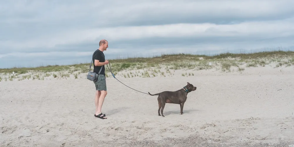 Lessons from Marty at the Beach: A Gray Pit Bull's Guide to Living Well