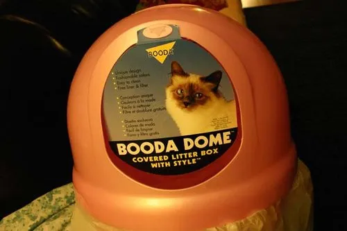 Stylin' Boda Dome