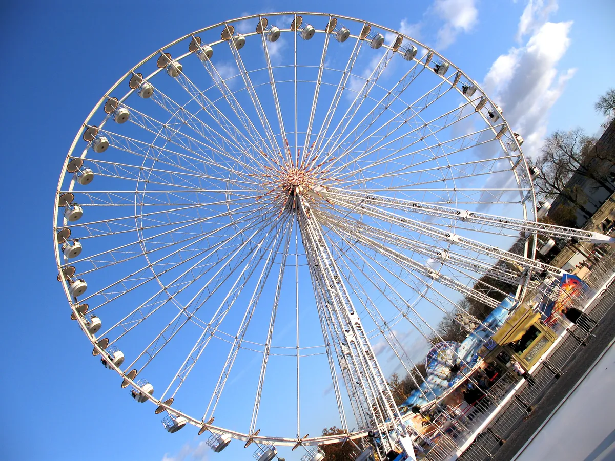 Frenchie Ferris Wheel