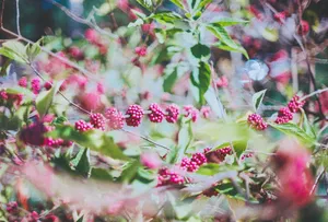 Rediscovering Film Photography: Shooting Kodacolor 200 With My Dad’s Canon A-1