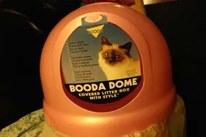Stylin' Boda Dome